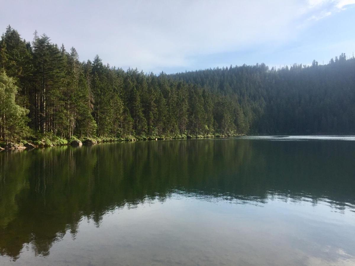 Apartman “U Nas V Podkrovi“ V Rezidenci Klostermann, Zelezna Ruda 24 Bagian luar foto